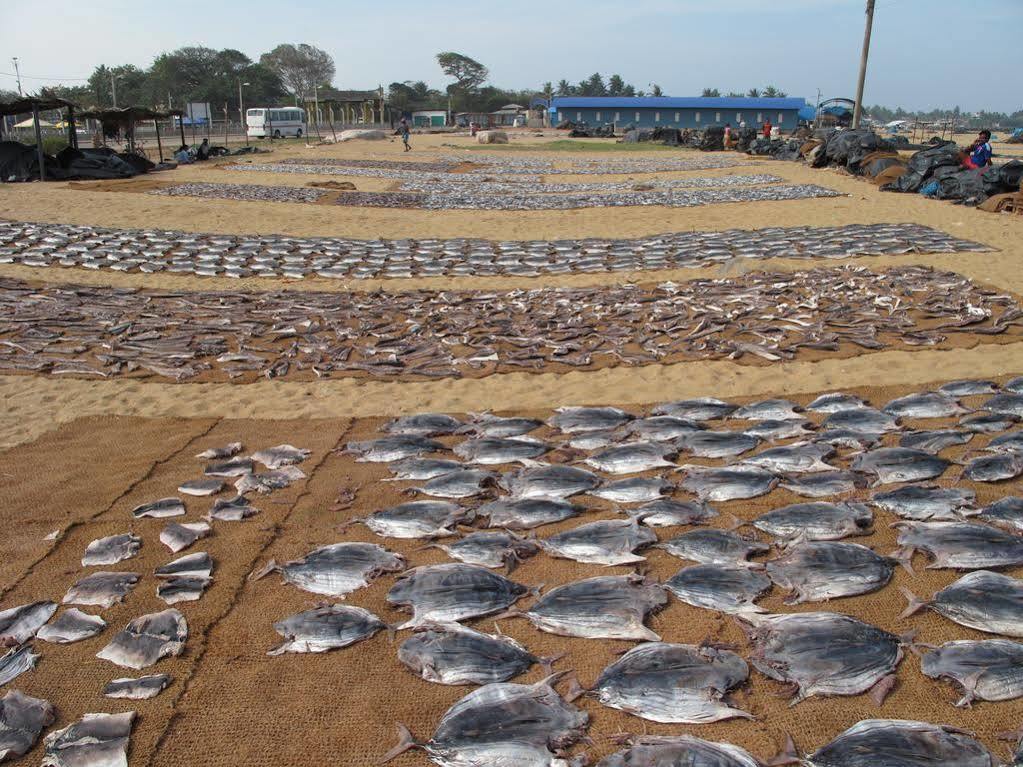 Zand Negombo Ettukala Luaran gambar